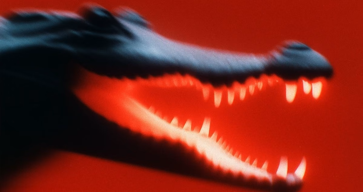 A crocodile with its jaw open against a red ground
