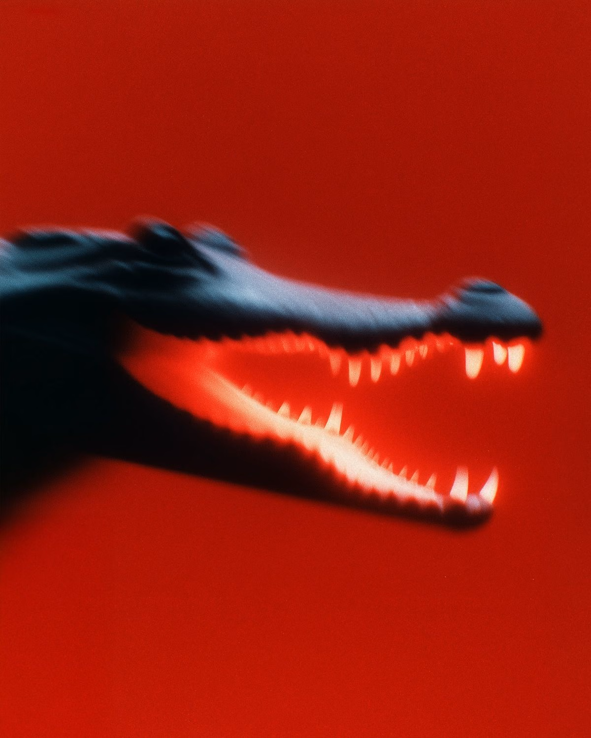 A jaw caught mid-motion against red, every tooth lit from inside the open mouth
