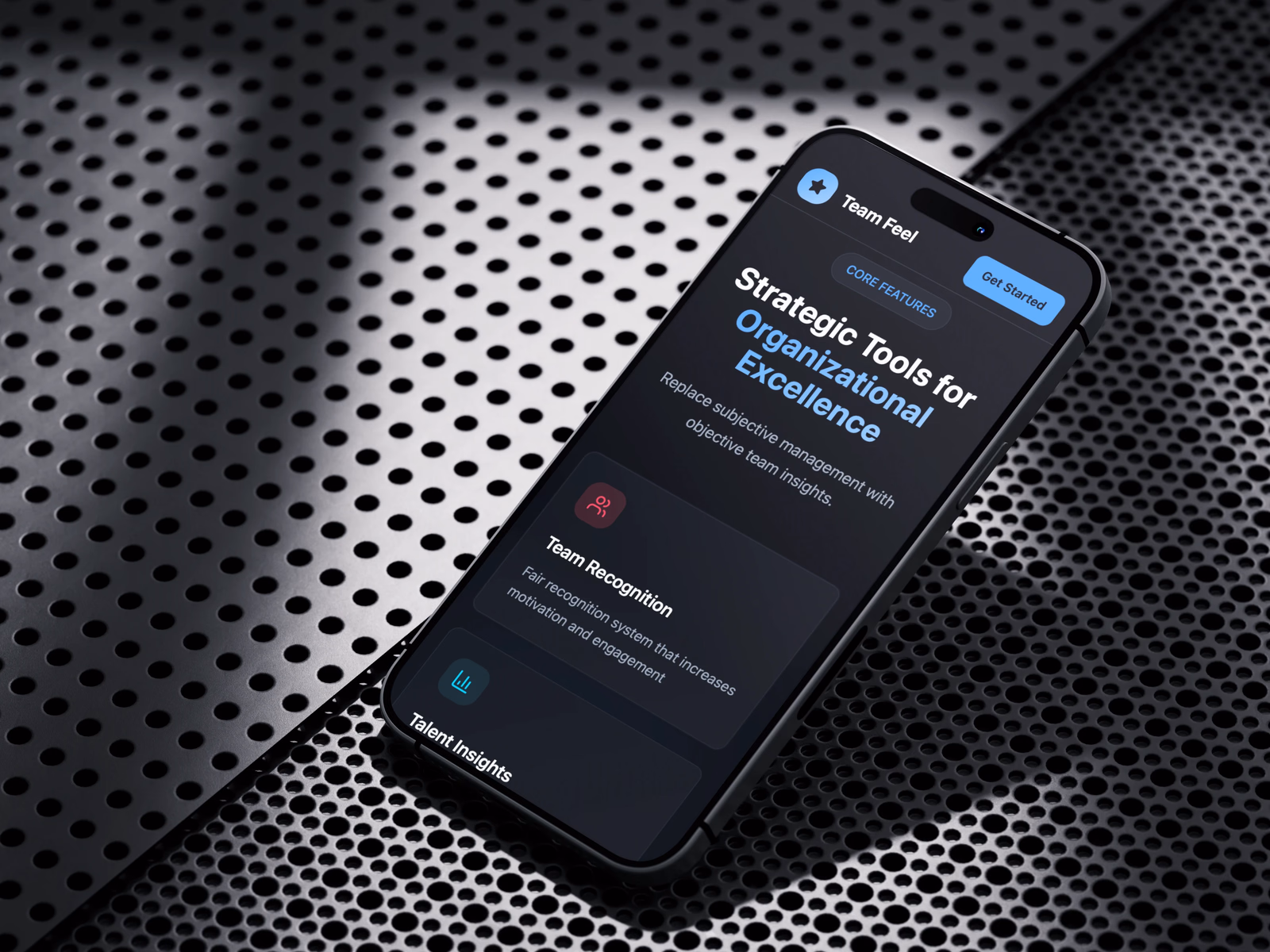 The product’s own site, headed Strategic Tools for Organizational Excellence